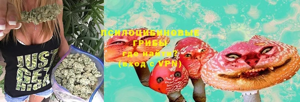 ПСИЛОЦИБИНОВЫЕ ГРИБЫ Алексеевка