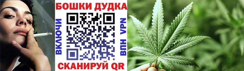 Бошки Шишки Amnesia  Нижний Ломов 